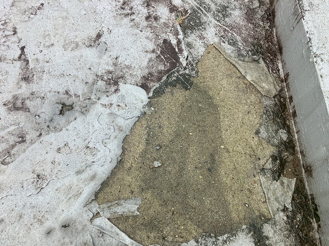 岐阜市で一部防水膜が剥がれた屋上の状態確認、排水口にも落葉や汚れがたまり詰まっていました